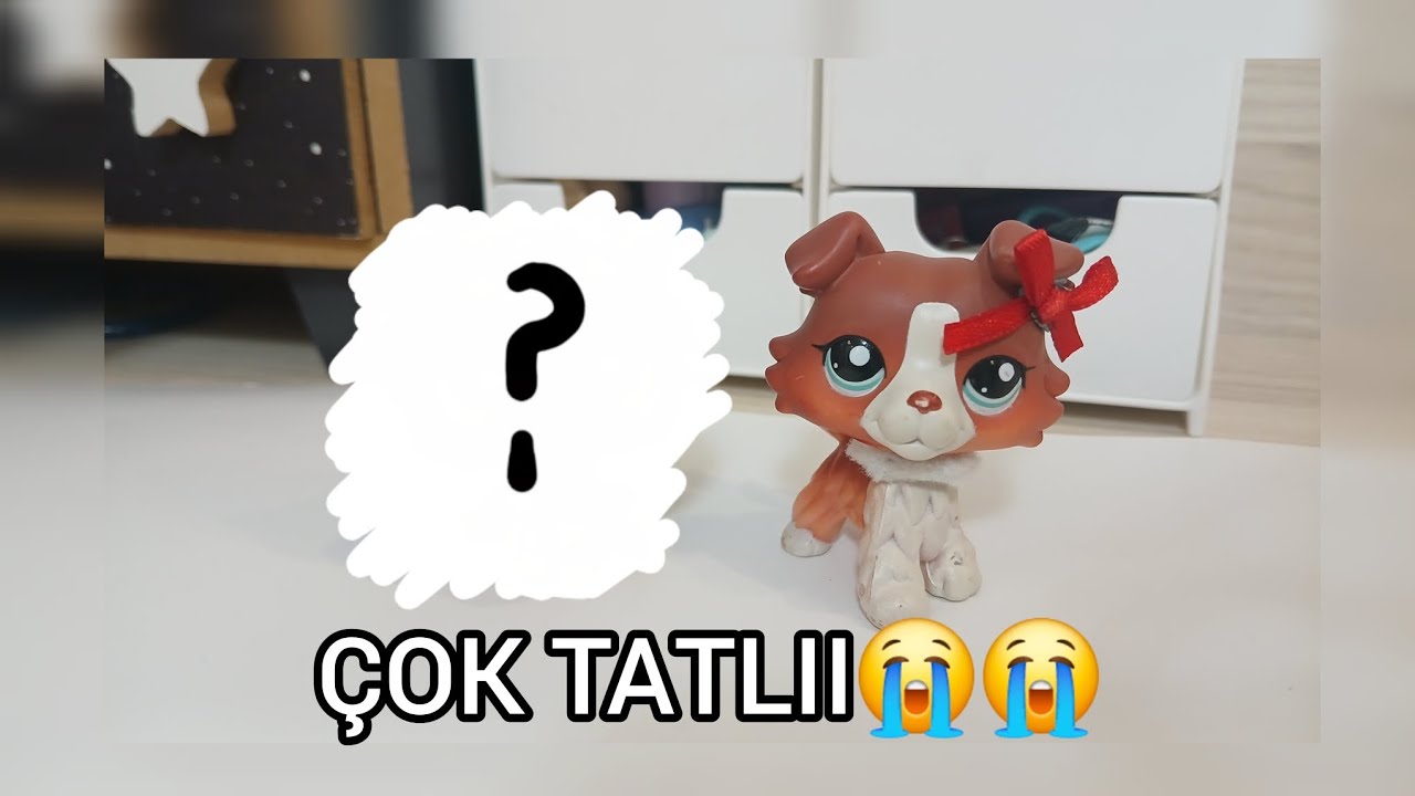 YENİ MİNİŞ AÇILIMI!!