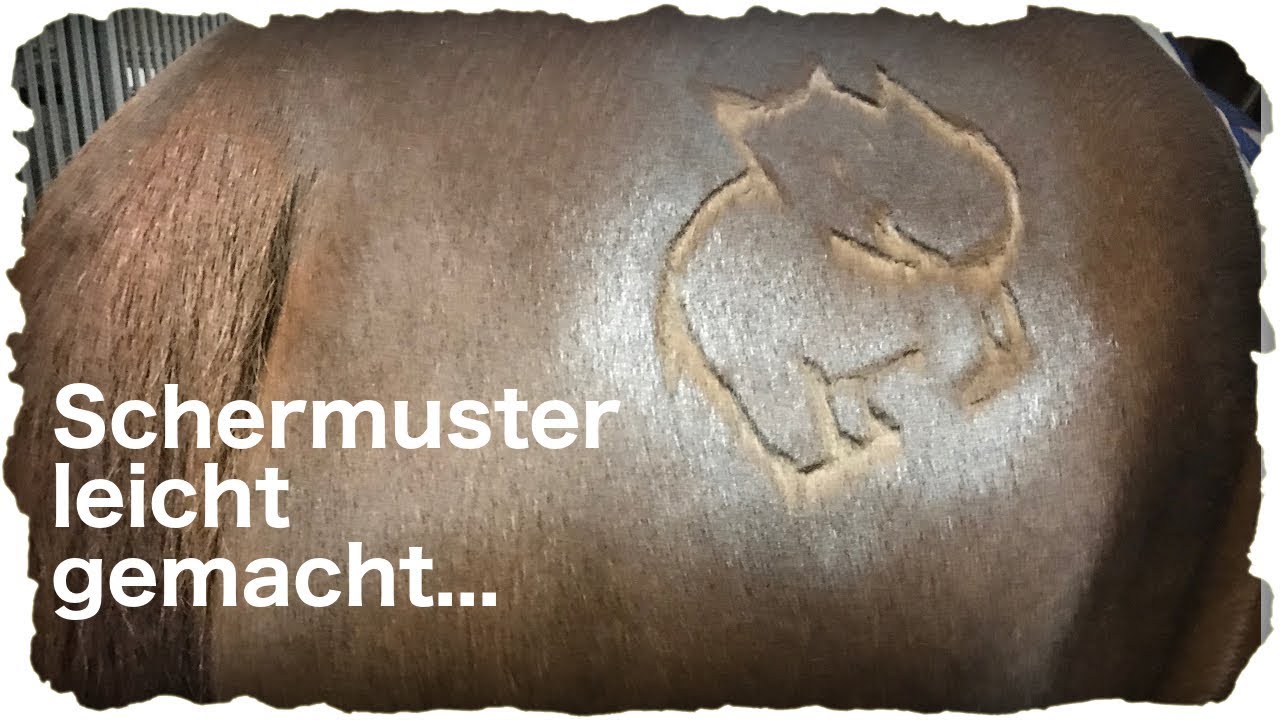 Schermuster schneiden leicht gemacht... Ist es ein Einhorn????