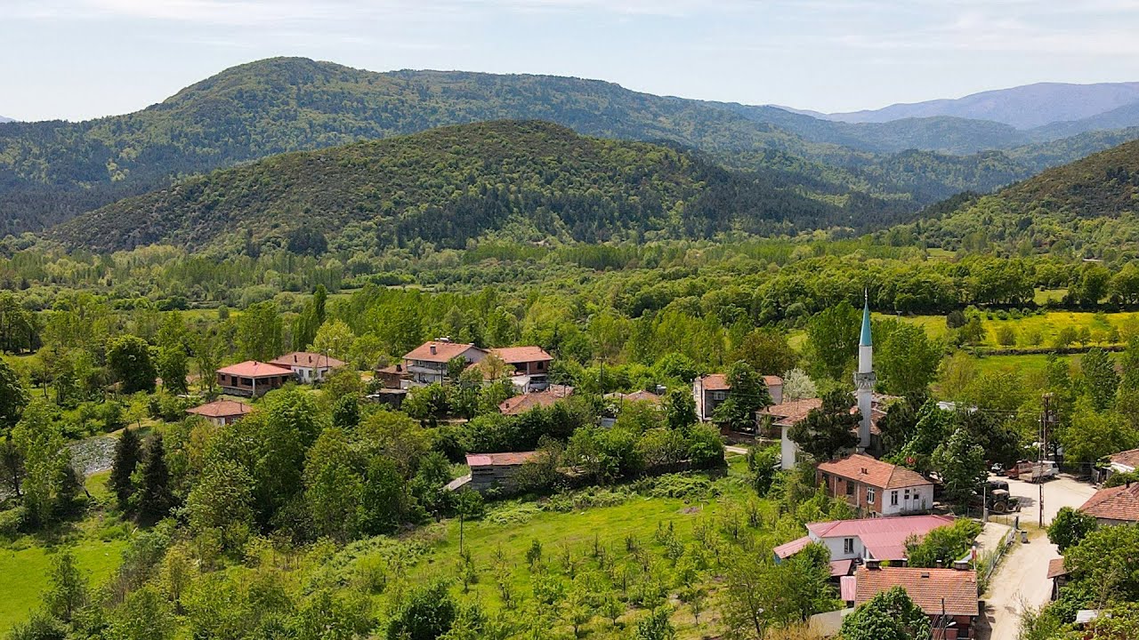 Yenice Yukarıçavuş Köyü (Yeşilin her tonunu görebilirsiniz)