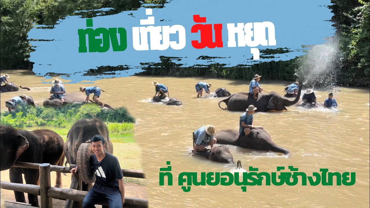 ท่องเที่ยววันหยุด ที่ ศูนย์อนุรักษ์ช้างไทย จ.ลำปาง