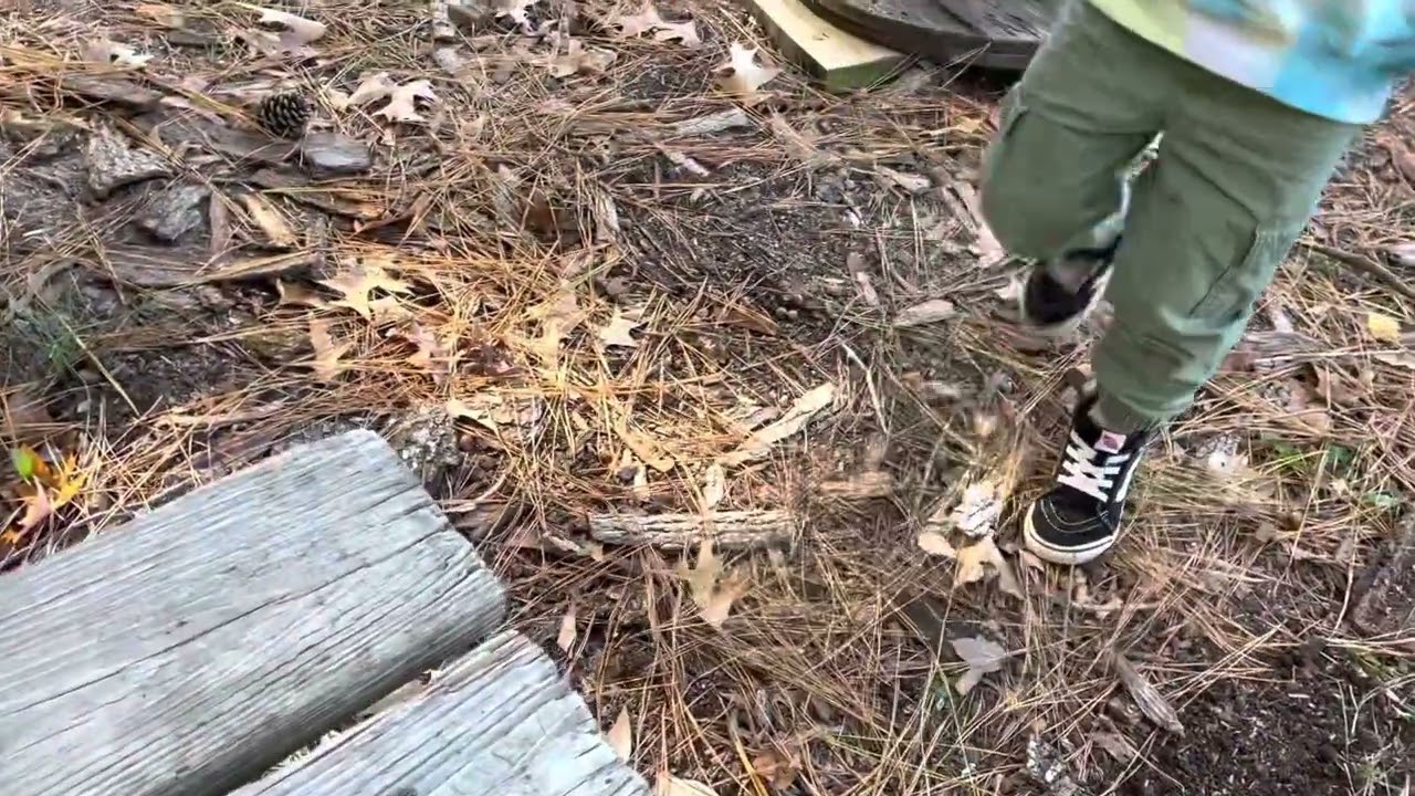 CLICK BEETLE that will make you jump!