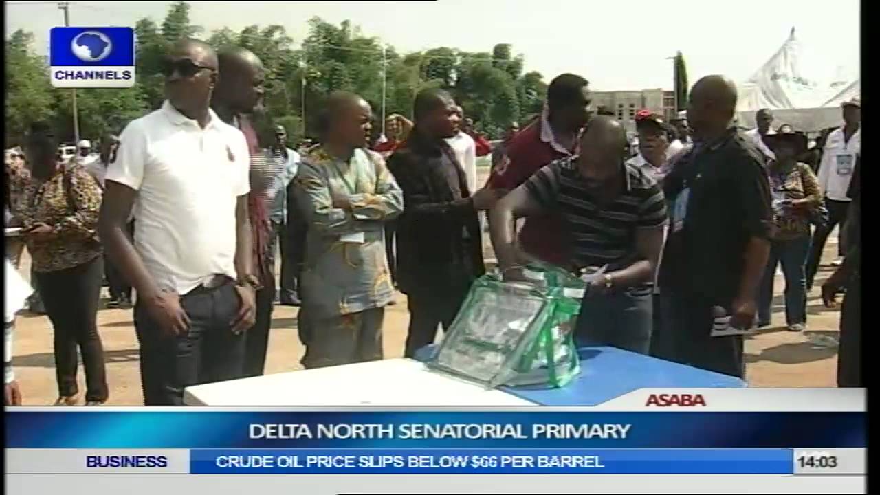 PDP Delta North Senatorial Primary Election Pt.7