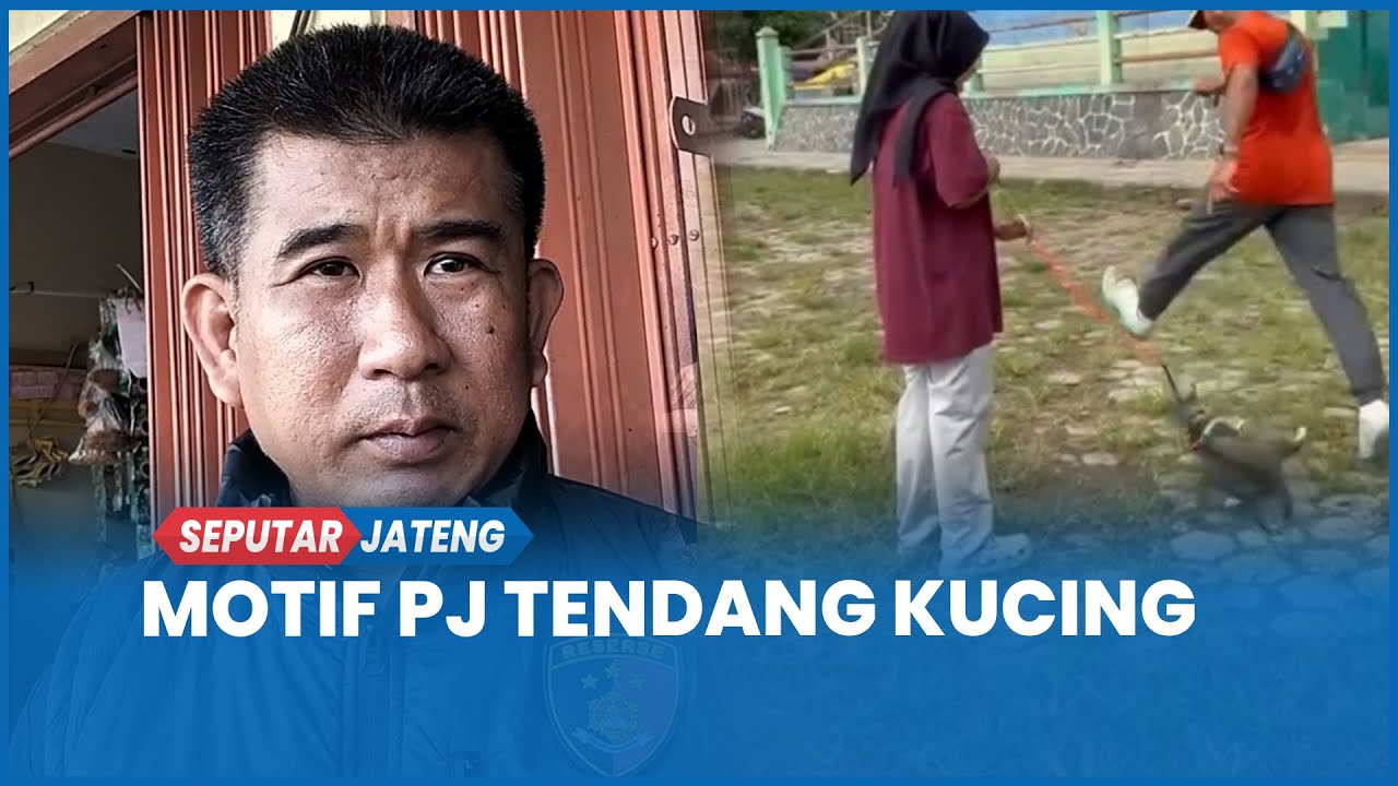 Motif Pria Tendang Kucing di Blora, Mengaku Kesal Terganggu Saat Jogging