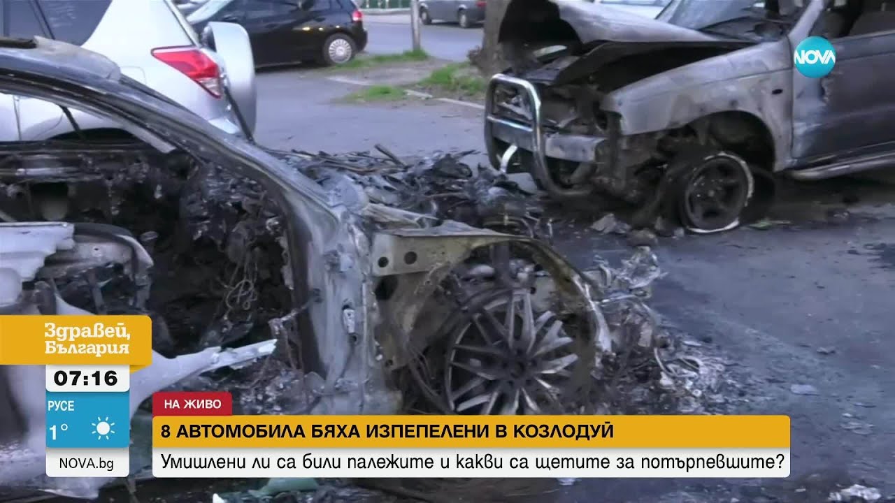 Подпалиха осем коли в Козлодуй
