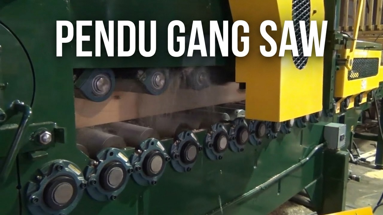 Pendu Heavy Duty Gang Saw