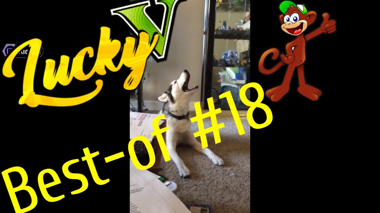 Ich Bin Zurück | GTA RP LuckyV Best-of #18 Funny Moments 😂