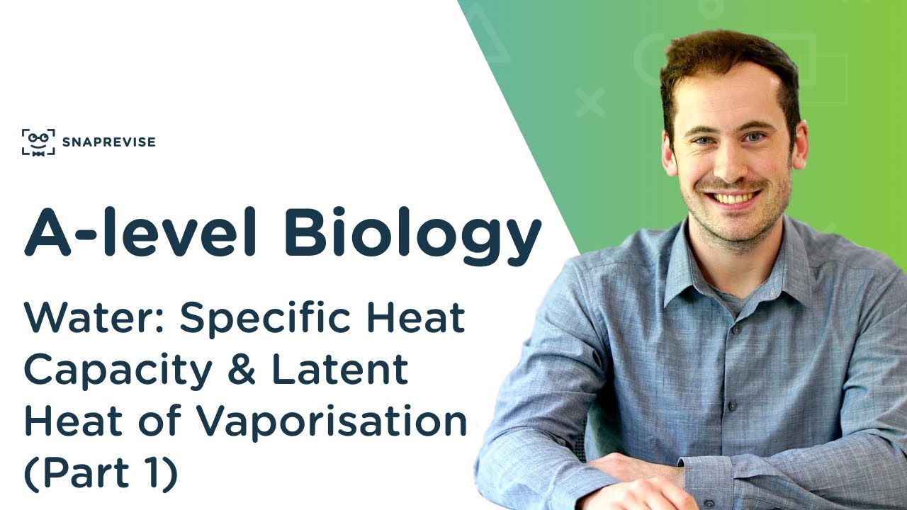 Water: Specific Heat Capacity & Latent Heat (Part 1) | A-level Biology | OCR, AQA, Edexcel