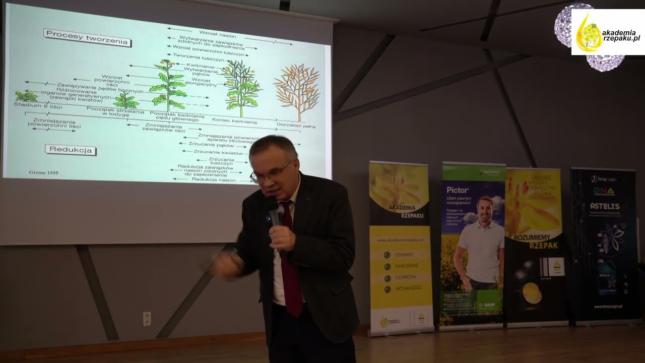 Rzepak ozimy - prof. Witold Szczepaniak o strategii nawożenia rzepaku azotem i nie tylko