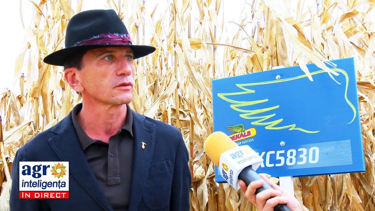 Producție de 17,7 tone/ha cu hibridul de porumb DKC 5830