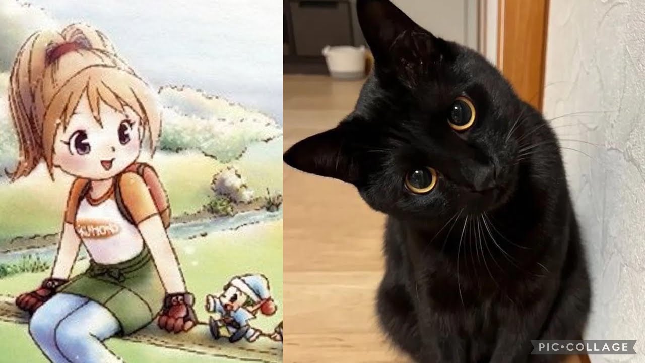 I got a cat in Harvest Moon Another Wonderful Life 