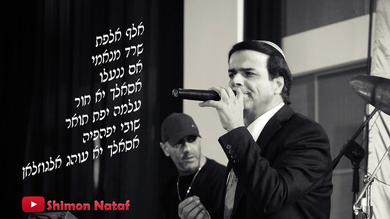 ציון גולן 🎧 אלף אלפת, שרד מנאמי, אם ננעלו, אסאלך יא חור, עלמה יפת תואר, שובי יפהפיה, אסאלך יא עוהג