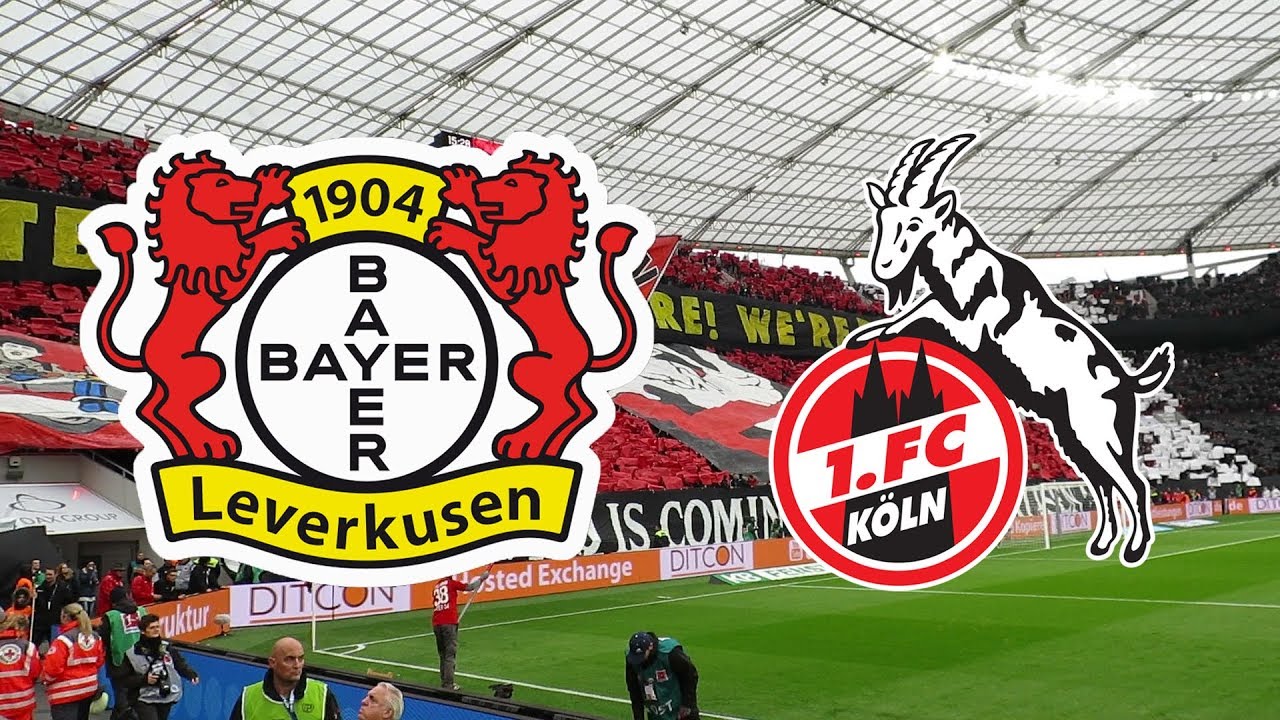 Bayer 04 Leverkusen - 1. FC Köln [Saison 2017/2018] | Impressionen