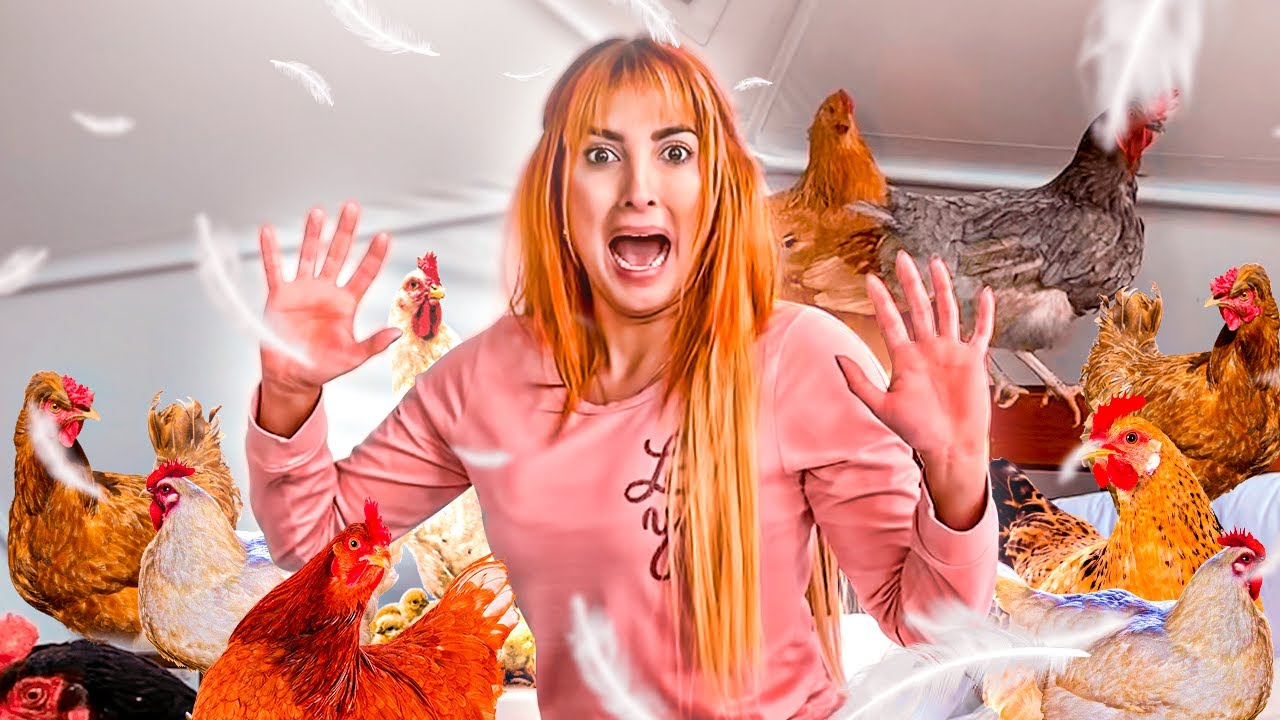 METIMOS 100 GALLINAS EN UNA HABITACION Y ESTO PASO...BROMA !