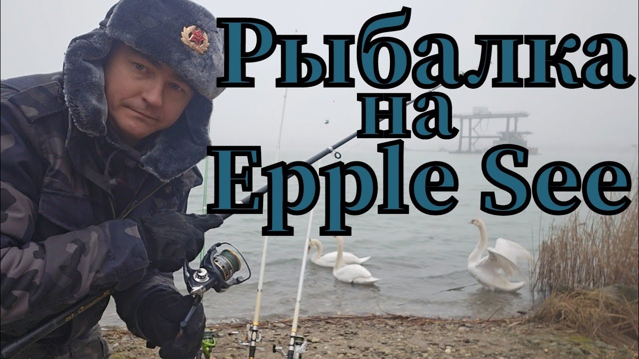 Активная рыбалка 🎣 на Epple See на опарыш #рыбалка #angeln #fishing #pêche #pescado #see #shots 
