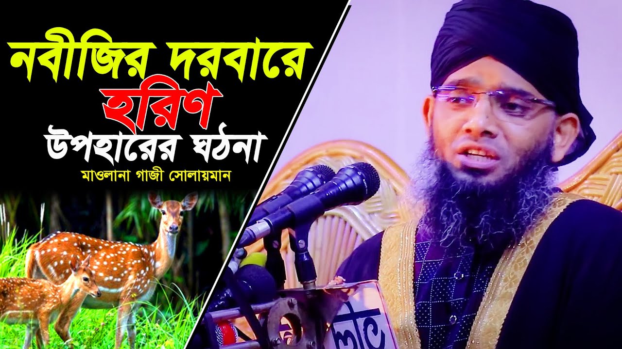 নবীজির দরবারে হরিণের ঘঠনা,গাজী সোলাইমান ক্বাদেরী ওয়াজ 2025 Gazi solaiman Qadri Waz 2025