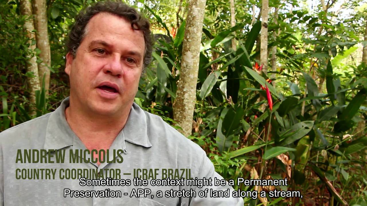 Brazil: Restoration through Agroforestry
