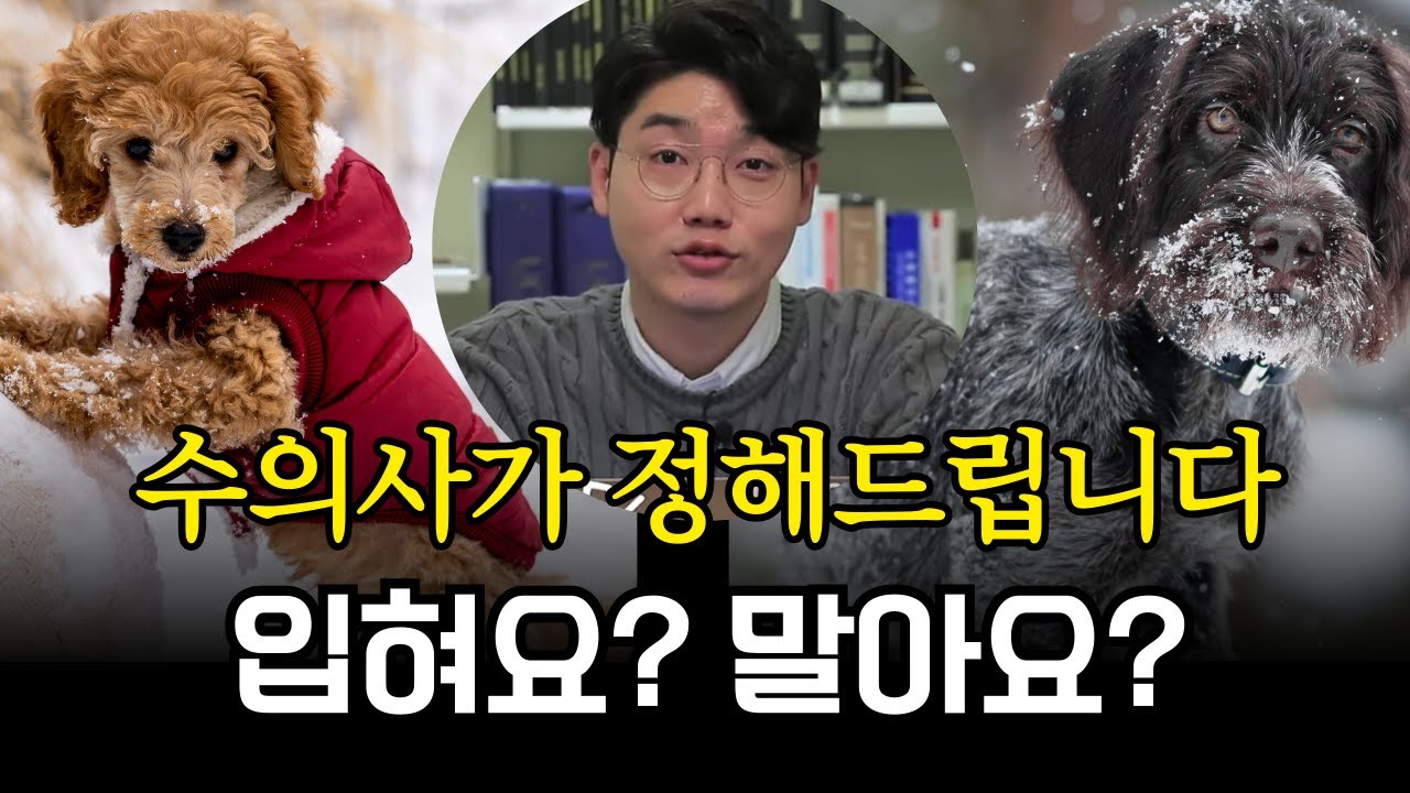 겨울 산책 이렇게 하다가 응급실 갑니다! 수의사가 말하는 절대 하면 안 되는 행동