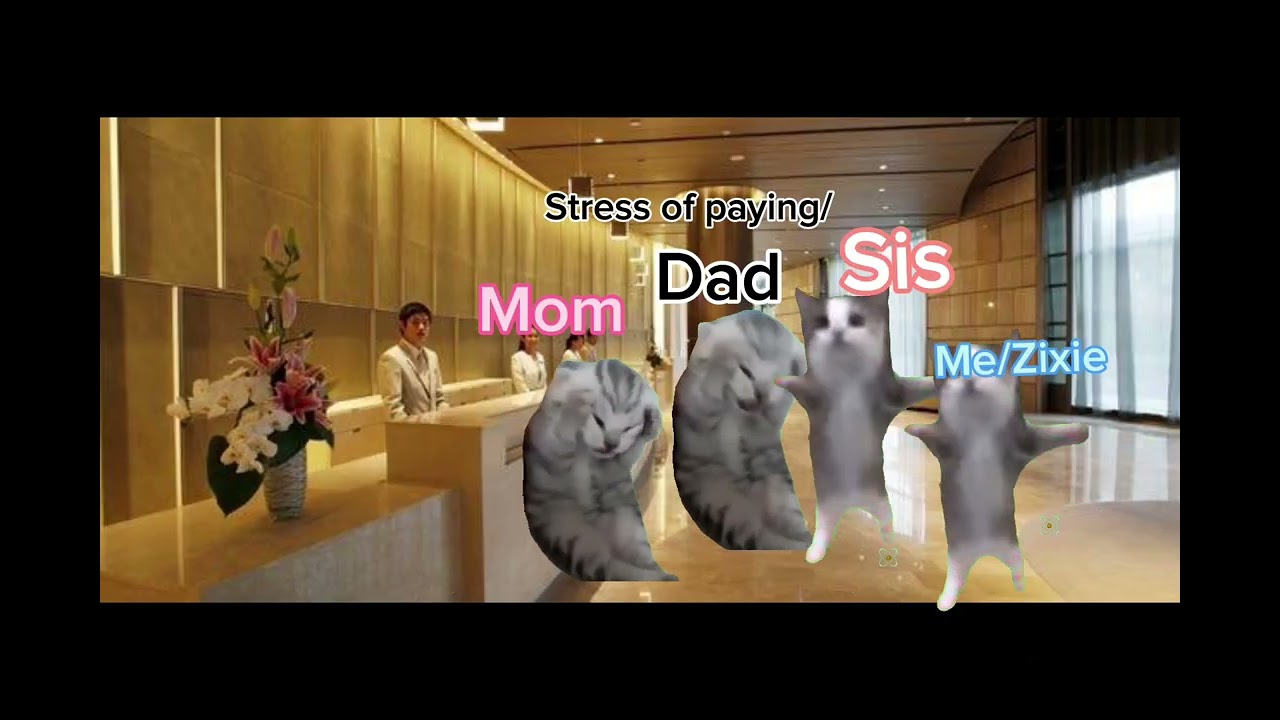 POV : My 