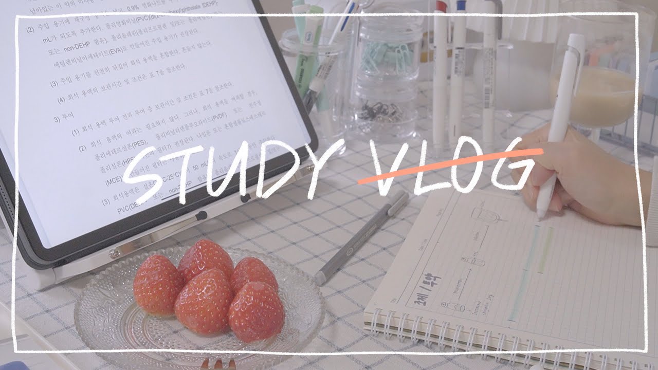 아이패드로 공부만 하는 브이로그 | TMI 대잔치 | study with me | iPad studying