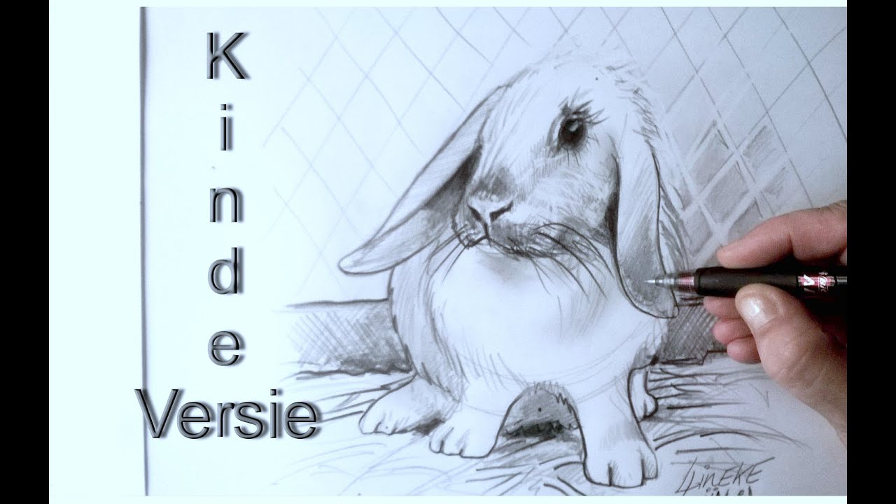 KONIJN tekenen voor beginners Grafiet tekening