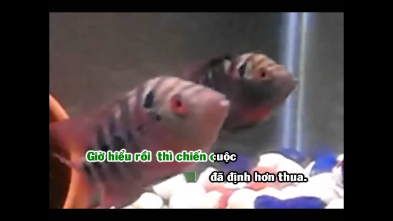 Karaoke: Xàng Xê (lớp 1 & lớp Xề)