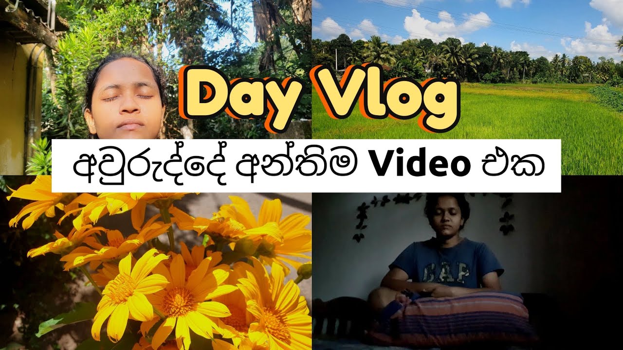 මේ අවුරුද්දේ අන්තිම Video එක 🌻🧿❤⏰ #dayvlog #relaxing #goals #motivation #nature #love #2026 #foryou 