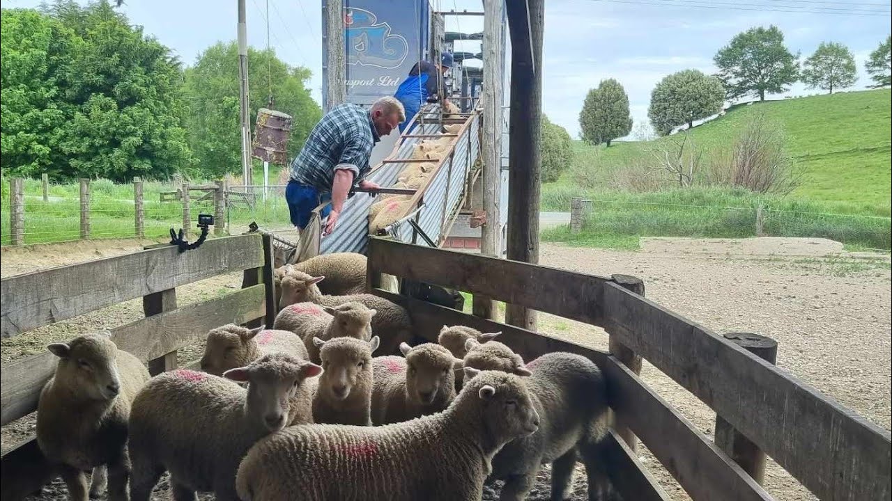 First weaning 2023! How did we do?