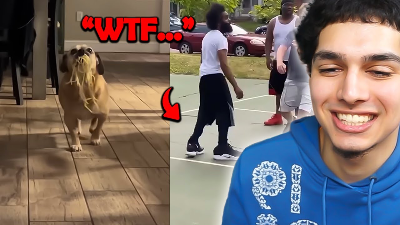 Try NOT To Laugh At These RIDICULOUS TikToks