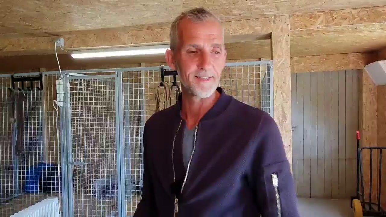 🐾 2 KAMPHANER MØDES