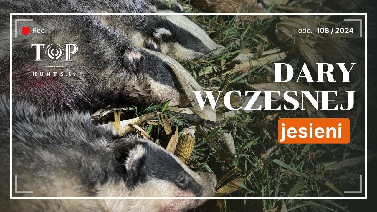 Polowanie na bażanty i inne smakołyki.