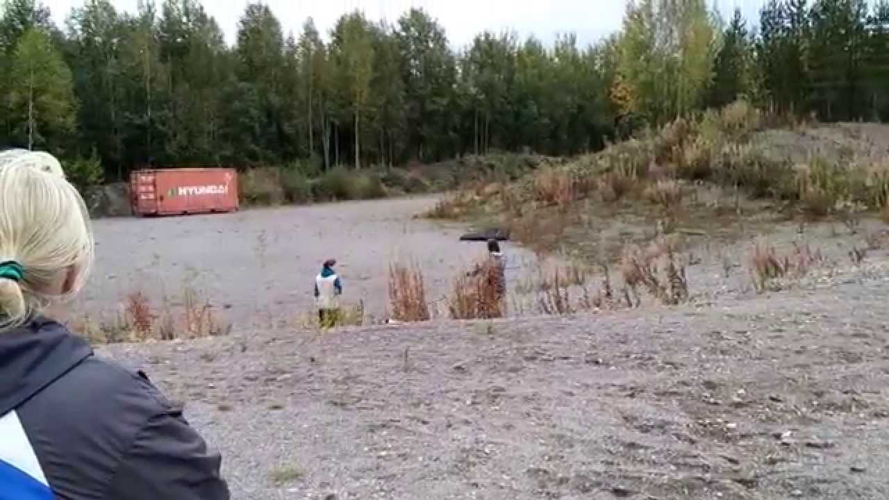 Koston MH-luonnekuvaus: Etäleikki