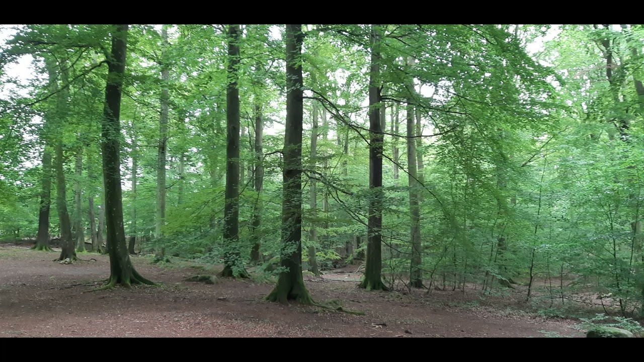 Skäralid SKÅNE 2020