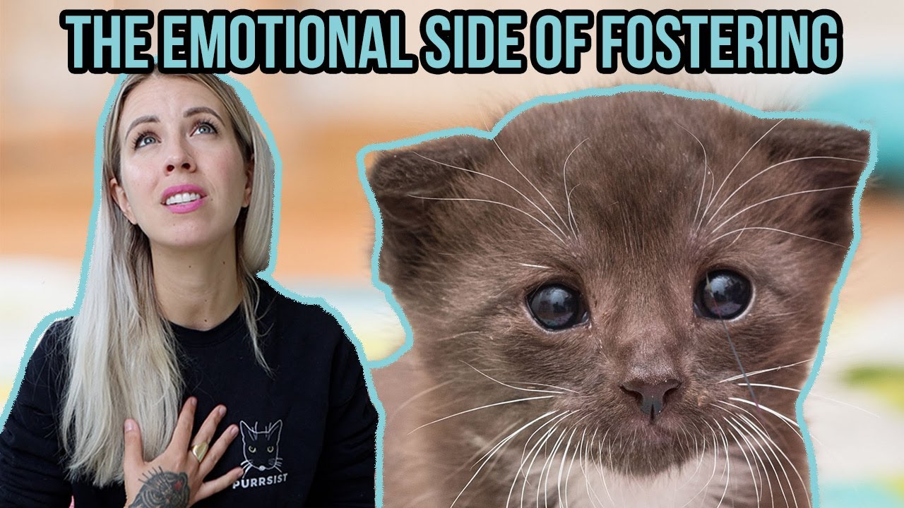 How I Cope with the Emotional Side of Fostering