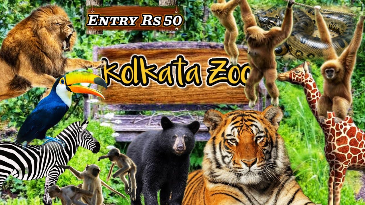 Kolkata Zoo  | Zoological Garden Alipore | Zoo Ticket Price
