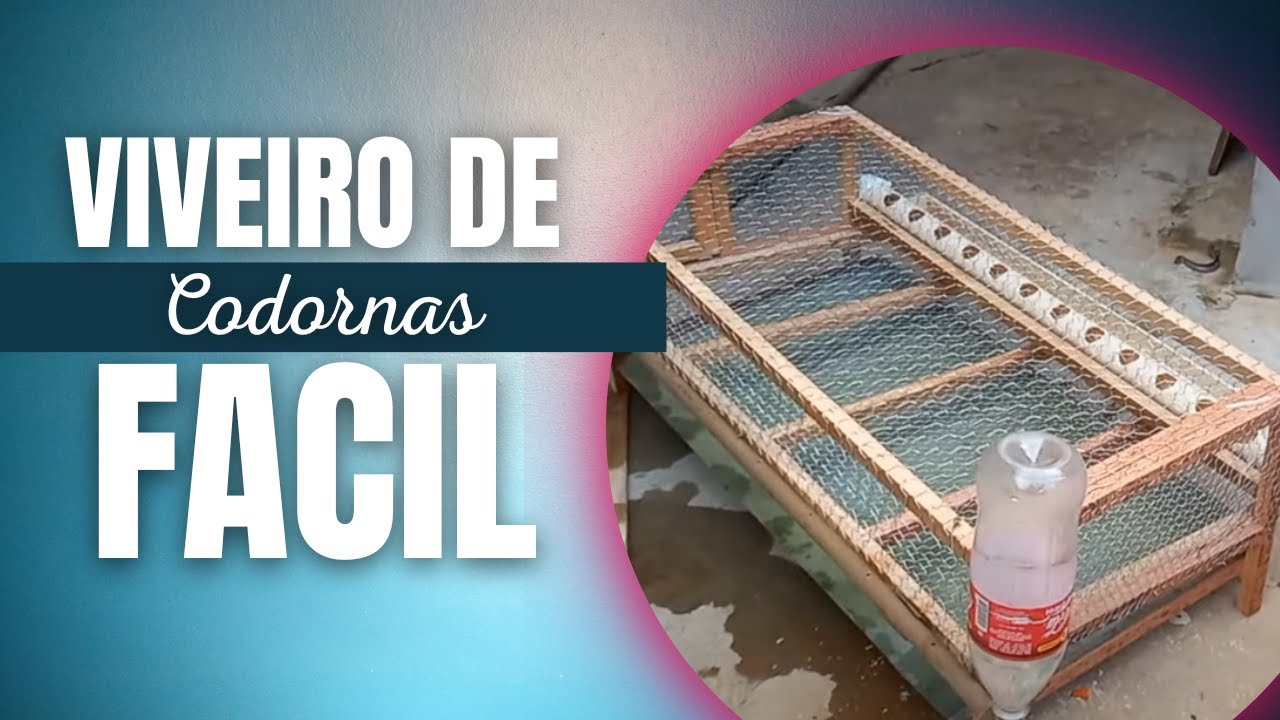 VIVEIRO / GAIOLA DE CODORNAS * RENDA EXTRA *