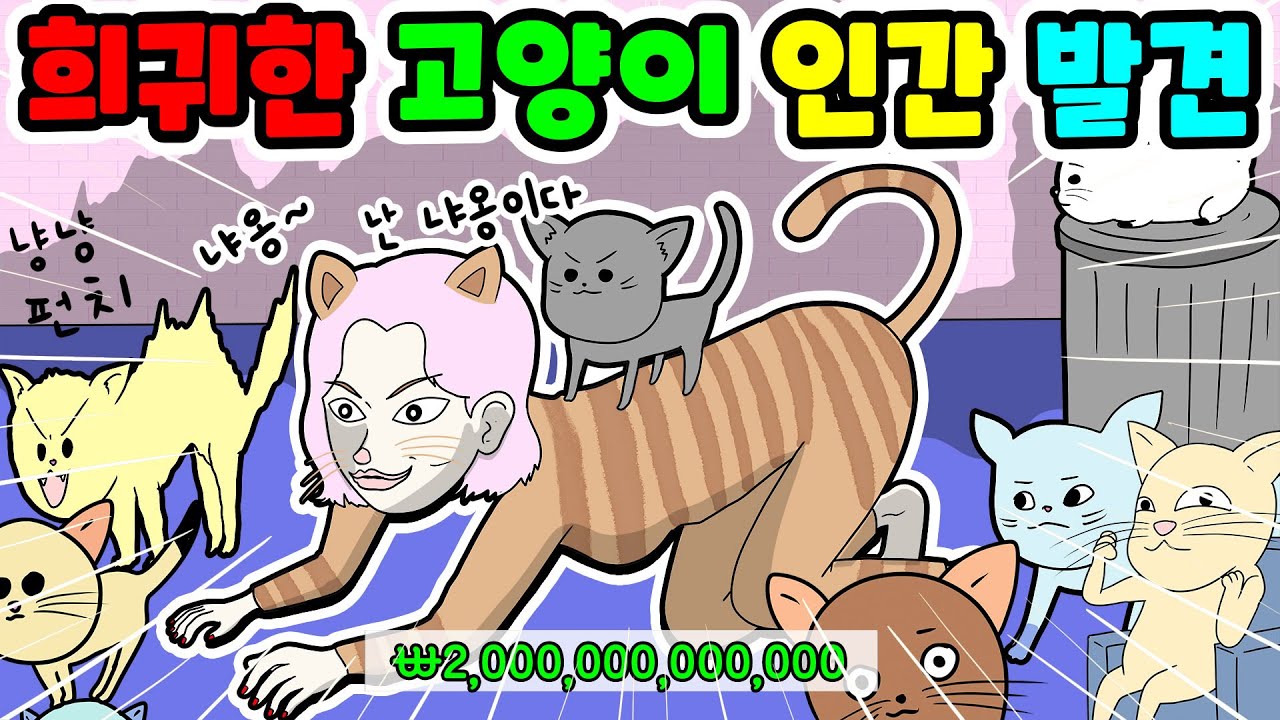 (영상툰)비싼 2조원💵 고양이 인간💥최초 발견‼️｜사연툰｜고민툰｜ [긍정이 영상툰]