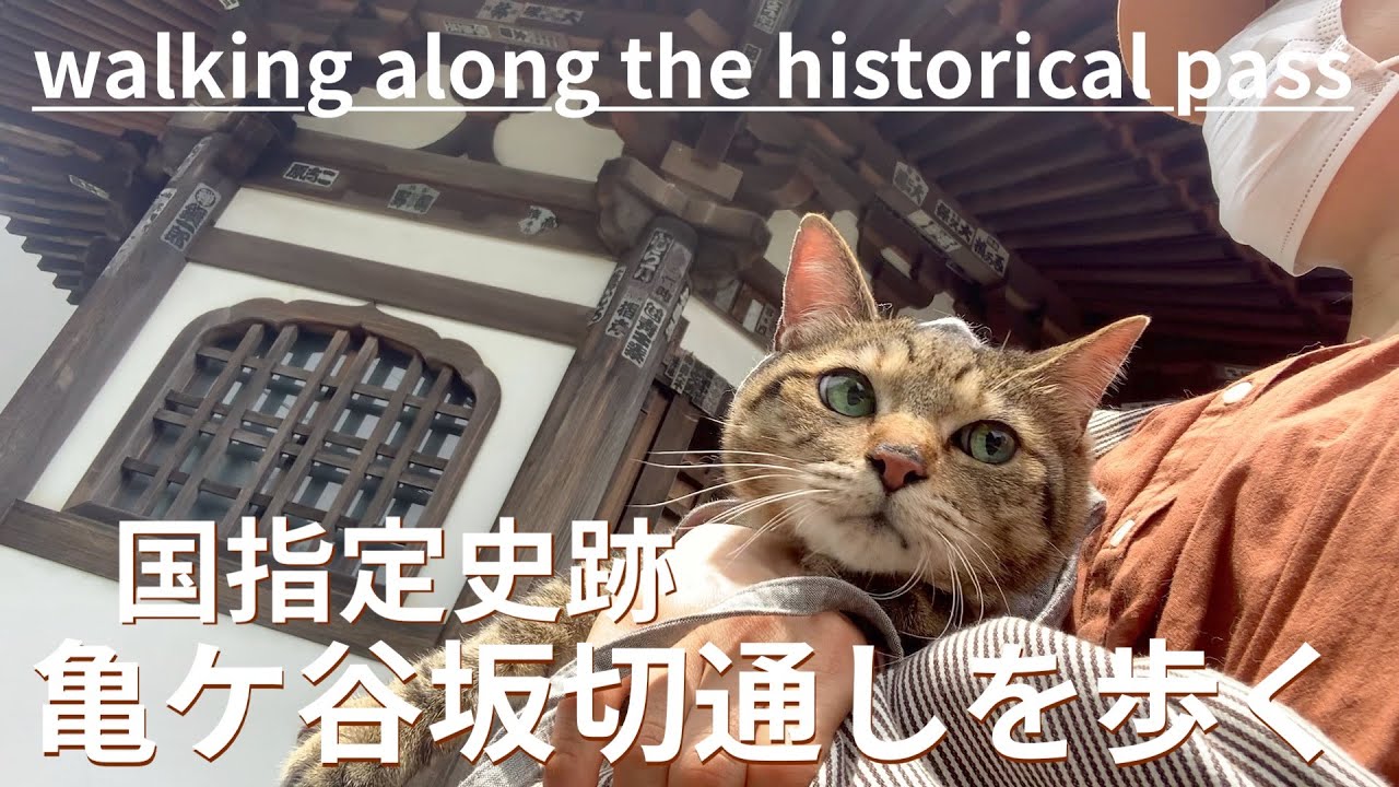 国指定史跡 鎌倉亀ヶ谷坂切通しを猫と歩く　walking along the historical pass