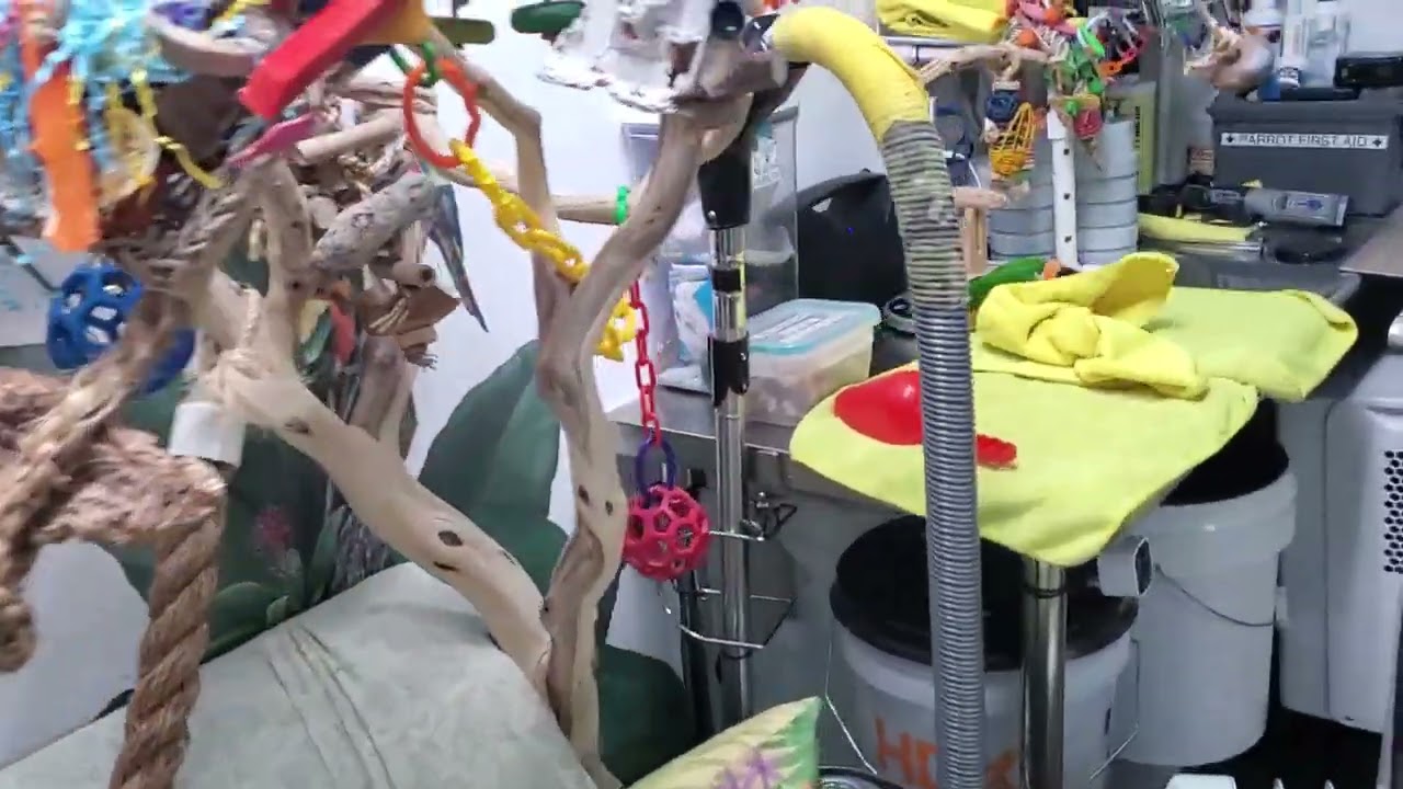 Да, снова настало это время 😄