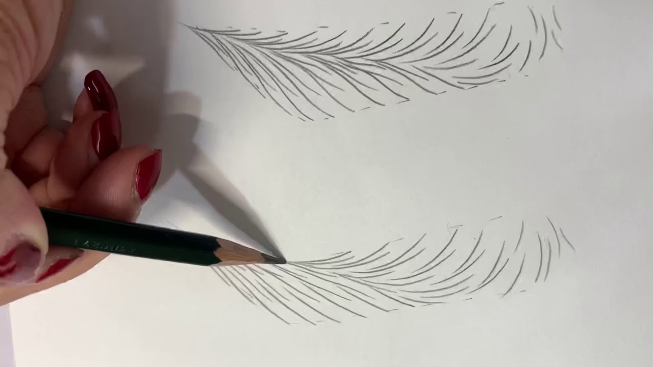羽雕線條眉畫法及重點講解