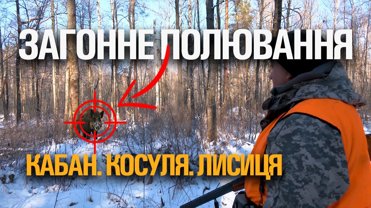 ПОЛЮВАННЯ НА КАБАНА. КОСУЛЮ. ЛИСИЦЮ ✔ ХОРОШІ ТРОФЕЇ ✔ ЧУДОВИЙ КОЛЕКТИВ ✔ МОРЕ ЕМОЦІЙ ✔