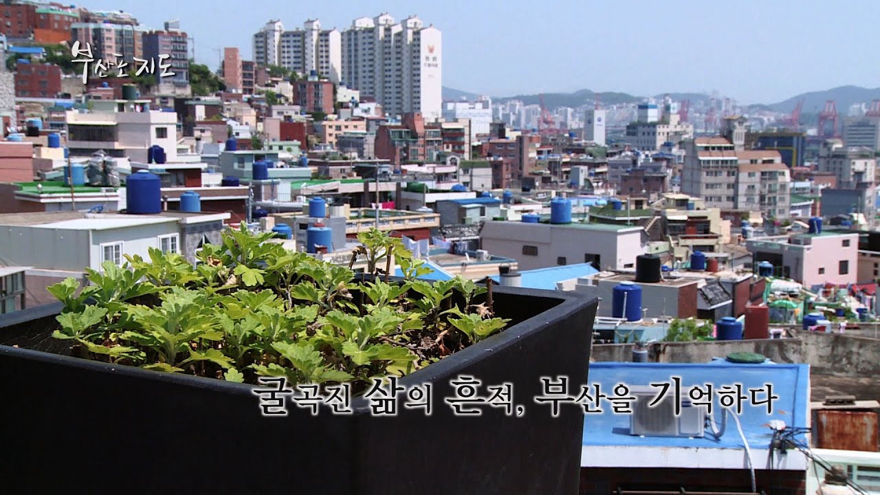 부산포 지도 38회 특집 