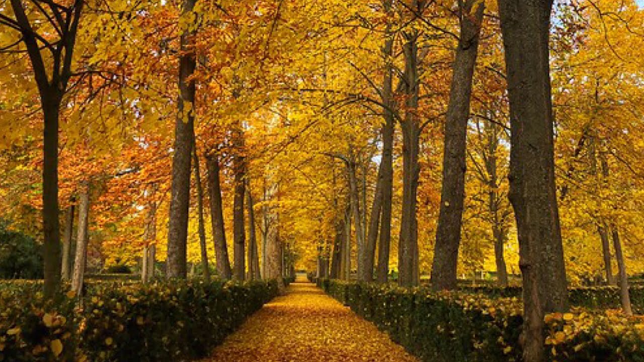 Oto&ntilde;o en Aranjuez 🍂