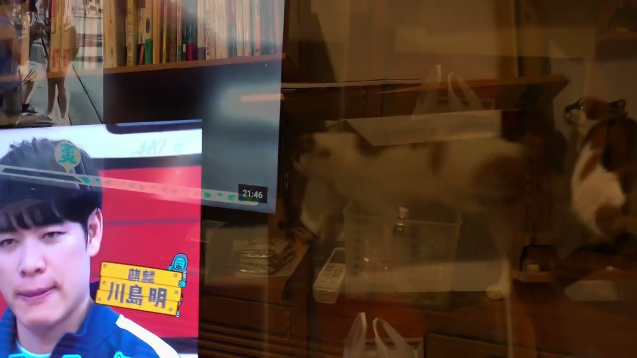 20260205サキの日常