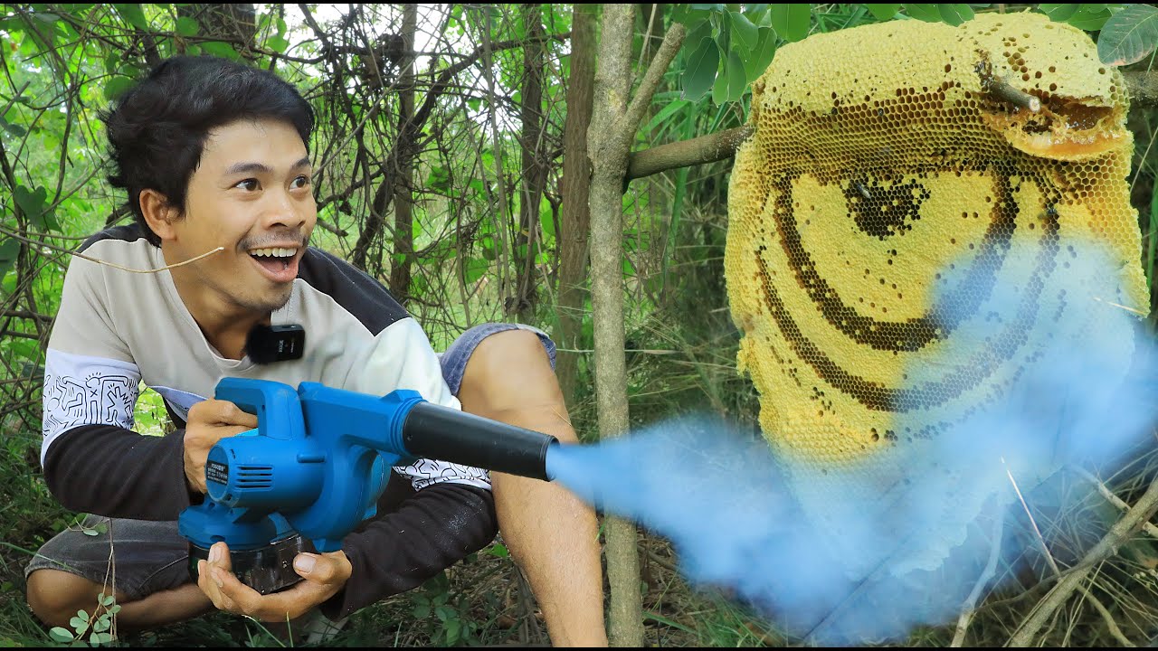 The bees in the forest are really big , Natural bees are really delicious