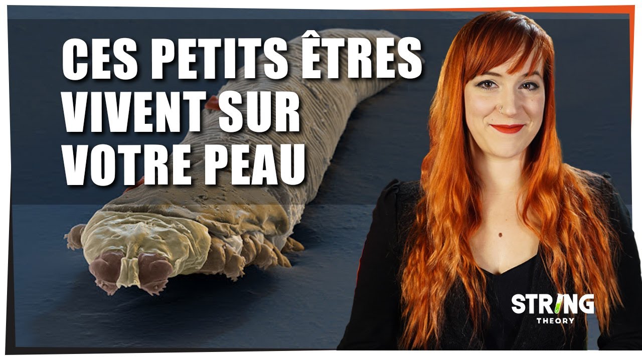 Ces petits êtres vivent sur votre peau- Castor Mother #40 - String Theory