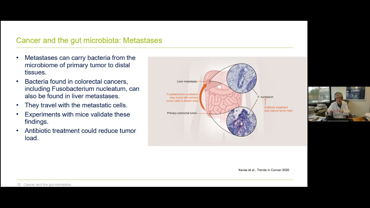 Webinar Recording | Understanding the Human Microbiome: Cancer & the Gut microbiome