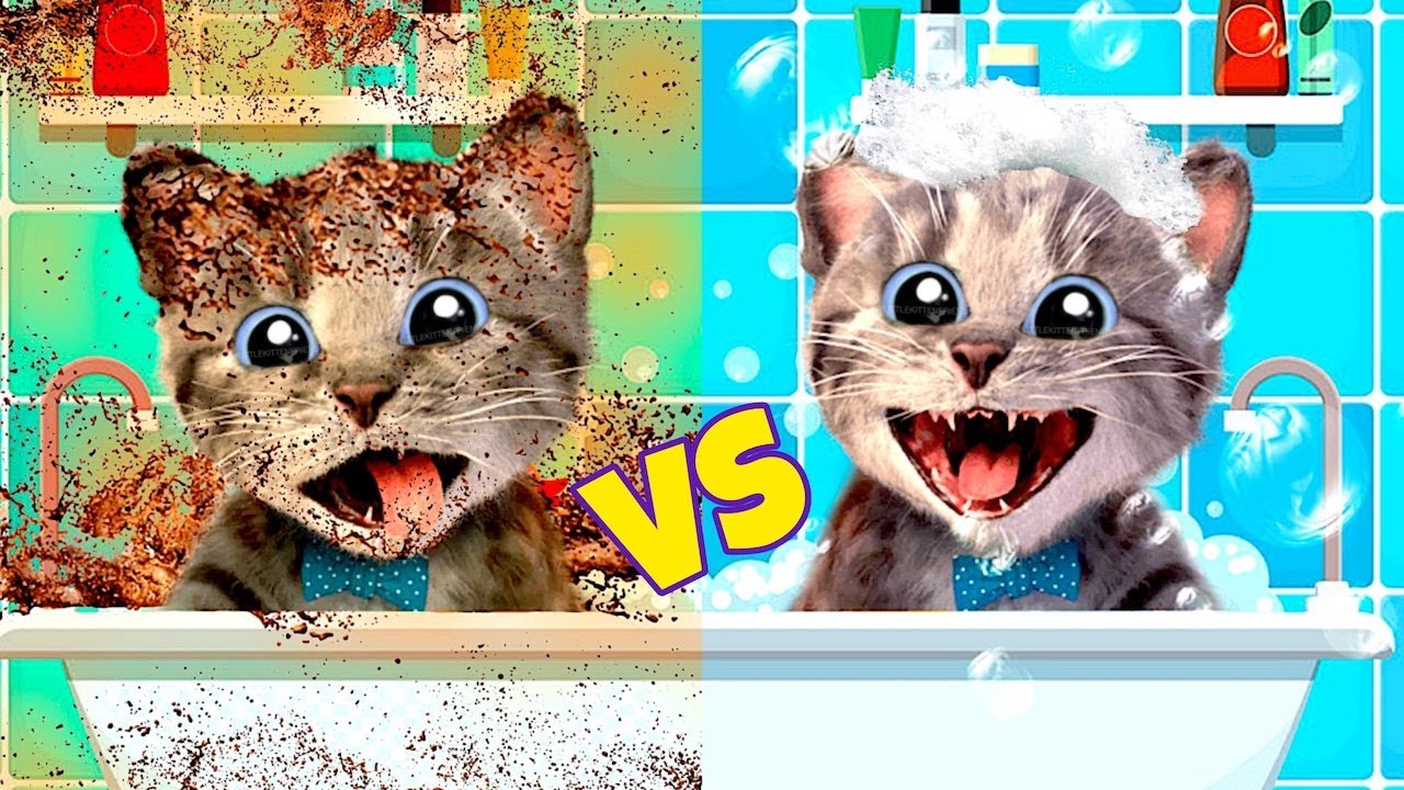 Cute Kitten Little Cat Adventure with Kitten⭐🐱Play Fun Pet Care✨Preschool Educational games for kids