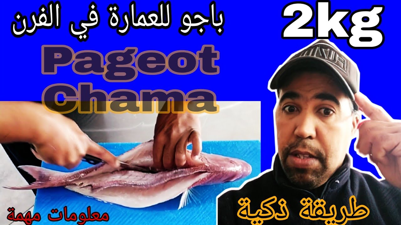 سلسلة أجي تعرف الحوت (سمك باجو شاما) معلومات مهمة pageot chama
