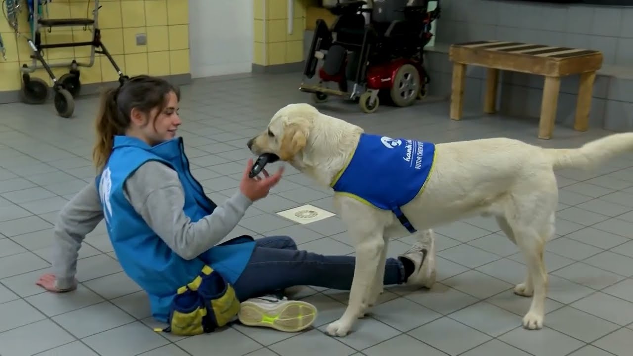 Retour sur les 20 ans de l'antenne loir-et-chérienne handi'chiens implantée à Vineuil.