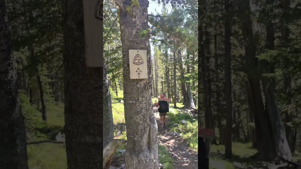 Stats from our Continental Divide Trail thruhike!